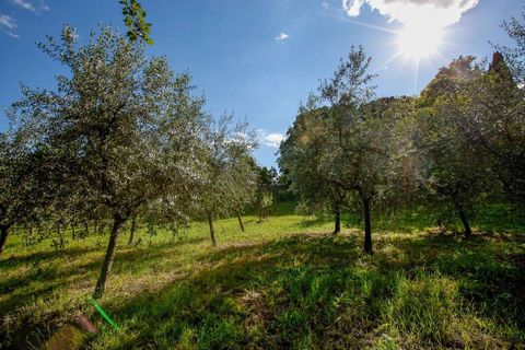 Villa a Anghiari, Arezzo, Anghiari - € 2.500.000 | Ref: ARZ2299-624473 - foto 29