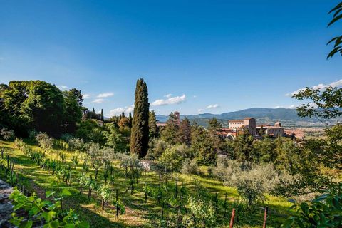 Villa a Anghiari, Arezzo, Anghiari - € 2.500.000 | Ref: ARZ2299-624473 - foto 30