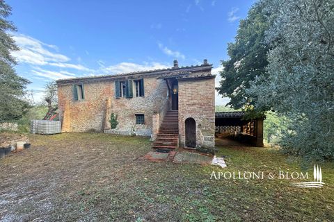 Villa a Asciano, Siena, Asciano - € 1.500.000 | Ref: ASC1352-624554 - foto 7