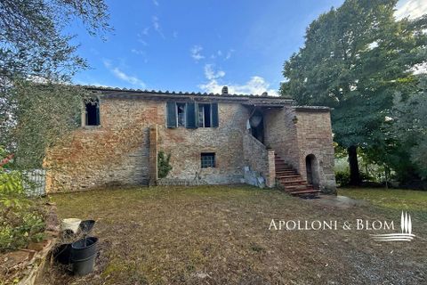 Villa a Asciano, Siena, Asciano - € 1.500.000 | Ref: ASC1352-624554 - foto 10
