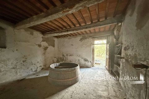 Villa a Asciano, Siena, Asciano - € 1.500.000 | Ref: ASC1352-624554 - foto 18