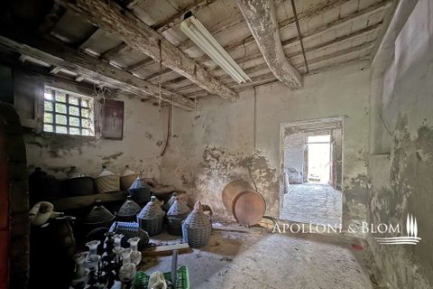 Villa a Asciano, Siena, Asciano - € 1.500.000 | Ref: ASC1352-624554 - foto 20