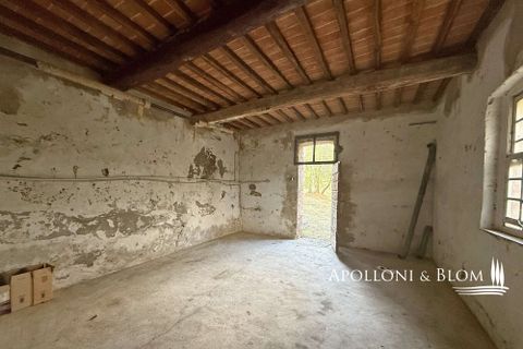 Villa a Asciano, Siena, Asciano - € 1.500.000 | Ref: ASC1352-624554 - foto 21