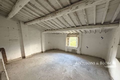 Villa a Asciano, Siena, Asciano - € 1.500.000 | Ref: ASC1352-624554 - foto 24