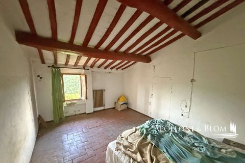 Villa a Asciano, Siena, Asciano - € 1.500.000 | Ref: ASC1352-624554 - foto 26