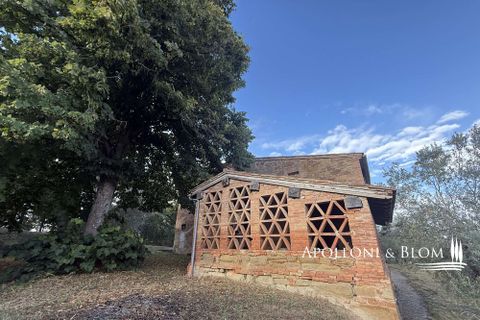 Villa a Asciano, Siena, Asciano - € 1.500.000 | Ref: ASC1352-624554 - foto 28
