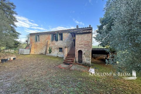 Villa a Asciano, Siena, Asciano - € 1.500.000 | Ref: ASC1352-624554 - foto 30