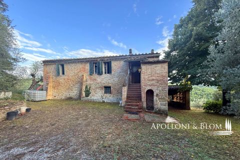 Villa a Asciano, Siena, Asciano - € 1.500.000 | Ref: ASC1352-624554 - foto 32