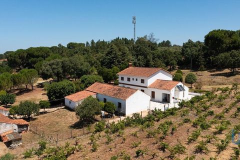 Byhus i Tomar, Santarem, Tomar - € 980.000 | Ref: 151341 - foto 3