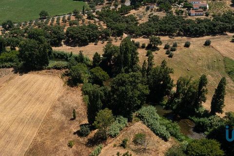 Byhus i Tomar, Santarem, Tomar - € 980.000 | Ref: 151341 - foto 4