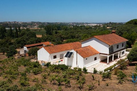 Byhus i Tomar, Santarem, Tomar - € 980.000 | Ref: 151341 - foto 7