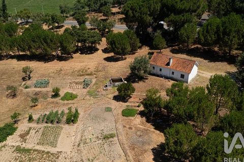 Byhus i Tomar, Santarem, Tomar - € 980.000 | Ref: 151341 - foto 21
