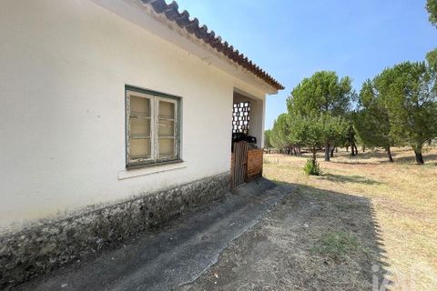 Byhus i Tomar, Santarem, Tomar - € 980.000 | Ref: 151341 - foto 22