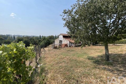 Byhus i Tomar, Santarem, Tomar - € 980.000 | Ref: 151341 - foto 27