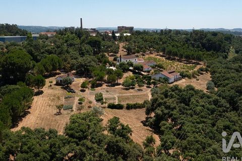 Byhus i Tomar, Santarem, Tomar - € 980.000 | Ref: 151341 - foto 29