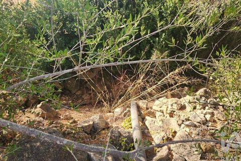 Grond in Silves, Faro, Silves - € 120.000 | Ref: 725210 - foto 8