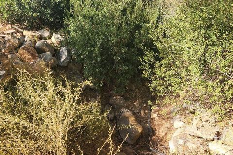 Grond in Silves, Faro, Silves - € 120.000 | Ref: 725210 - foto 9