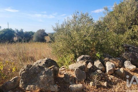 Grond in Silves, Faro, Silves - € 120.000 | Ref: 725210 - foto 12