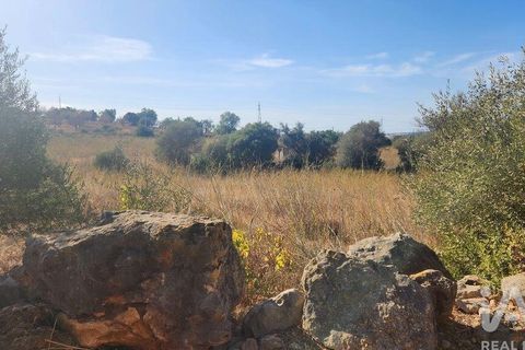 Grond in Silves, Faro, Silves - € 120.000 | Ref: 725210 - foto 13