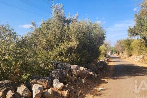 Grond in Silves, Faro, Silves - € 120.000 | Ref: 725210 - foto 14
