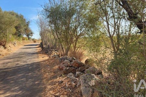 Grond in Silves, Faro, Silves - € 120.000 | Ref: 725210 - foto 16