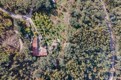 Ruinere i Monchique, Faro, Monchique - € 320.000 | Ref: V1035 - foto 8