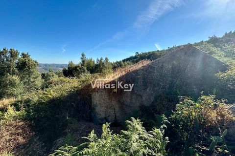 Ruinere i Monchique, Faro, Monchique - € 320.000 | Ref: V1035 - foto 9
