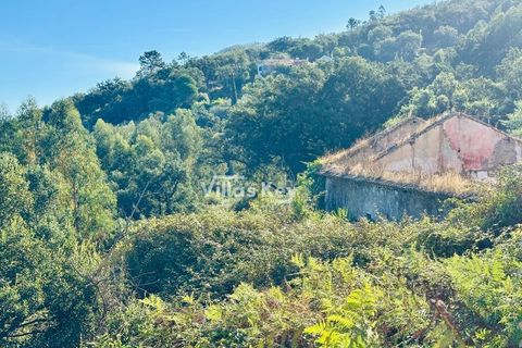 Ruinere i Monchique, Faro, Monchique - € 320.000 | Ref: V1035 - foto 10