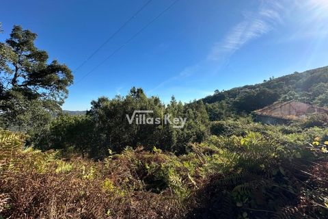 Ruinere i Monchique, Faro, Monchique - € 320.000 | Ref: V1035 - foto 12