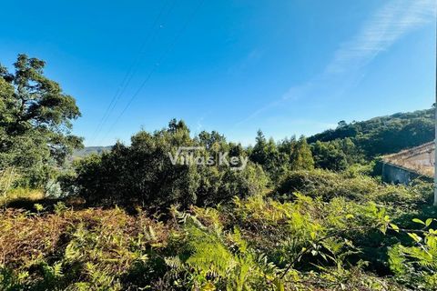 Ruinere i Monchique, Faro, Monchique - € 320.000 | Ref: V1035 - foto 13