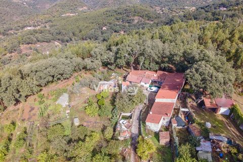 Ruinere i Monchique, Faro, Monchique - € 320.000 | Ref: V1035 - foto 15