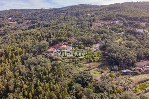 Ruinere i Monchique, Faro, Monchique - € 320.000 | Ref: V1035 - foto 16