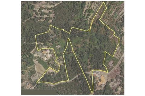 Ruinere i Monchique, Faro, Monchique - € 320.000 | Ref: V1035 - foto 19