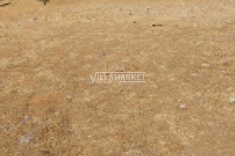 Terra a Aljustrel, Beja, Aljustrel - € 92.000 | Ref: JF-401EE - foto 5