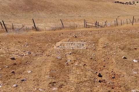 Terra a Aljustrel, Beja, Aljustrel - € 92.000 | Ref: JF-401EE - foto 6
