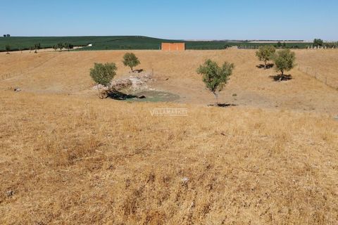 Terra a Aljustrel, Beja, Aljustrel - € 92.000 | Ref: JF-401EE - foto 13