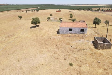 Terra a Aljustrel, Beja, Aljustrel - € 92.000 | Ref: JF-401EE - foto 20