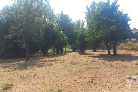 Byhus i Cabeceiras de Basto, Braga, Cabeceiras de Basto - € 195.000 | Ref: 151337 - foto 18