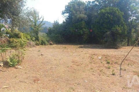 Byhus i Cabeceiras de Basto, Braga, Cabeceiras de Basto - € 195.000 | Ref: 151337 - foto 19