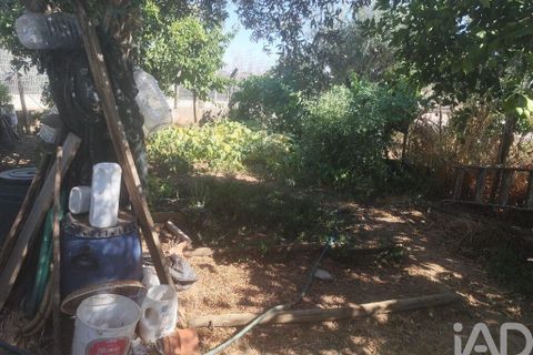 Byhus i Monforte, Portalegre, Monforte - € 63.500 | Ref: 148750 - foto 22
