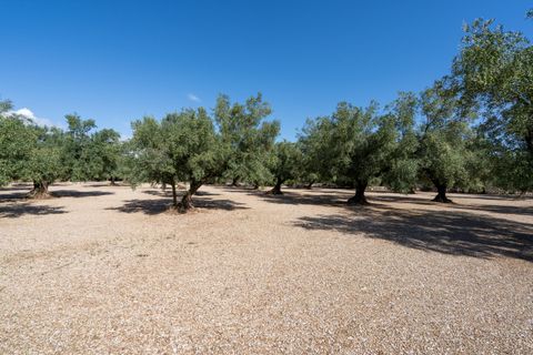 Finca i Ulldecona, Tarragona, Ulldecona - € 21.000 | Ref: 279 - foto 6