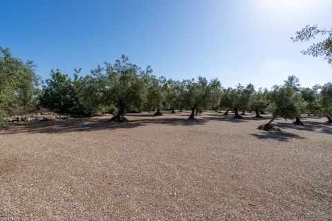 Finca i Ulldecona, Tarragona, Ulldecona - € 21.000 | Ref: 279 - foto 4