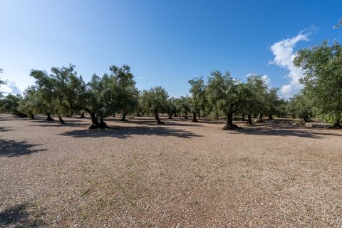 Finca i Ulldecona, Tarragona, Ulldecona - € 21.000 | Ref: 279 - foto 2