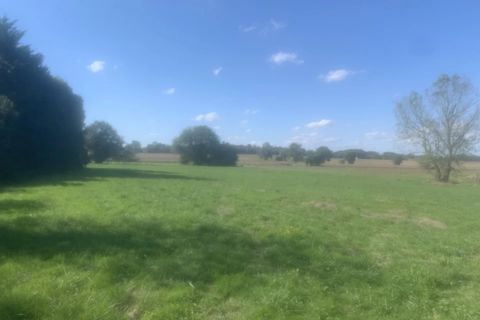 Helårsgrund i Ger, Pyrenees-Atlantiques, Ger - € 80.000 | Ref: 11677 - foto 3