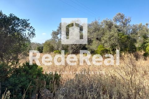 Helårsgrund i Estoi, Faro, Estoi - € 39.500 | Ref: 022250073 - foto 1