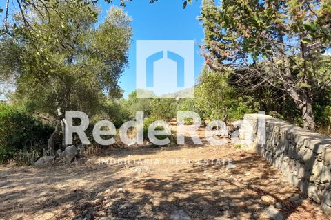 Helårsgrund i Estoi, Faro, Estoi - € 39.500 | Ref: 022250073 - foto 3