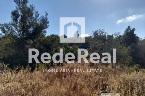 Helårsgrund i Estoi, Faro, Estoi - € 39.500 | Ref: 022250073 - foto 9
