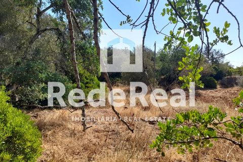 Helårsgrund i Estoi, Faro, Estoi - € 39.500 | Ref: 022250073 - foto 10