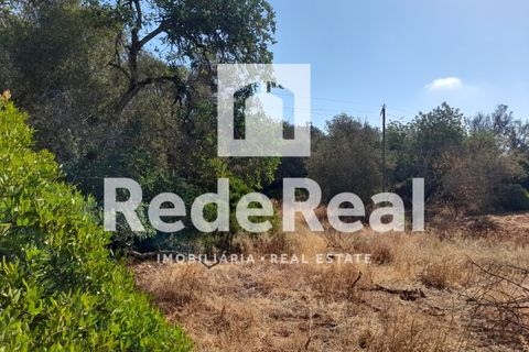 Helårsgrund i Estoi, Faro, Estoi - € 39.500 | Ref: 022250073 - foto 11