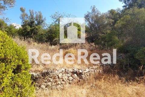 Helårsgrund i Estoi, Faro, Estoi - € 39.500 | Ref: 022250073 - foto 12